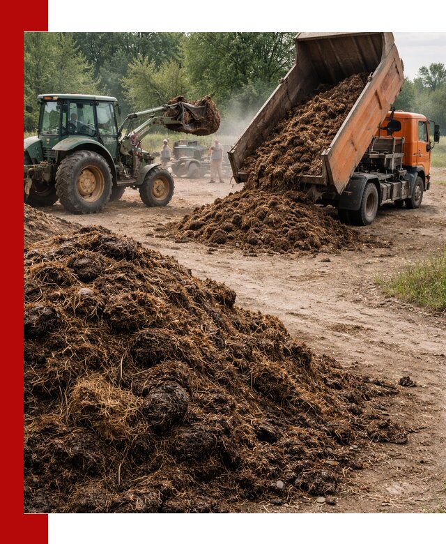 Доставка навоза самосвалами в Лысьве для сельхозпотребностей